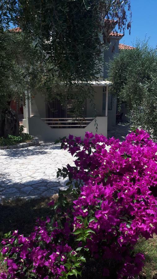 Sivota Apartments Parthenia Dış mekan fotoğraf